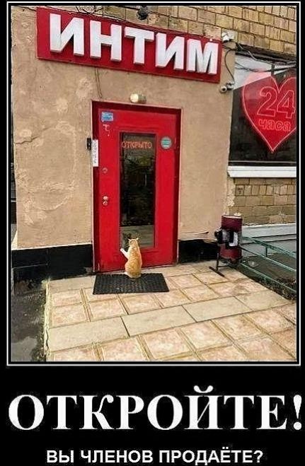ИНТИМ; ОТКРОЙТЕ!; ВЫ ЧЛЕНОВ ПРОДАЕТЕ?; 24 ЧАСА