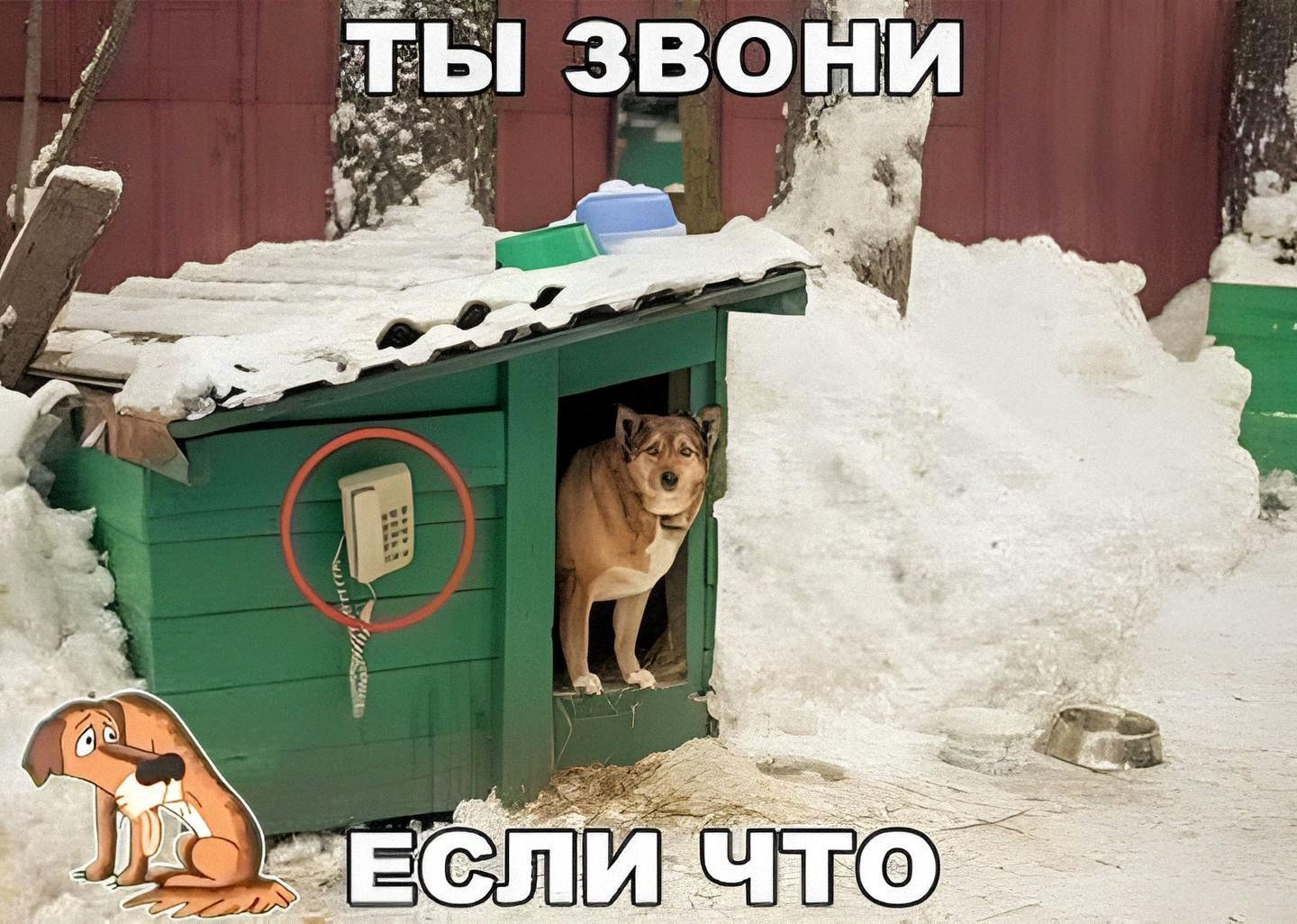 ТЫ ЗВОНИ ЕСЛИ ЧТО