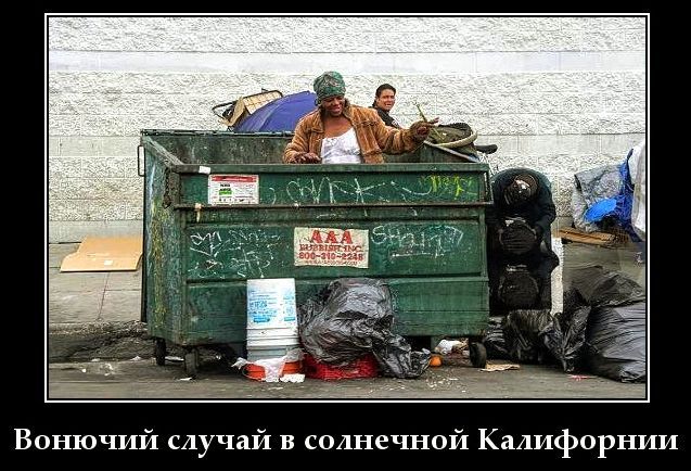 Вонючий случай в солнечной Калифорнии