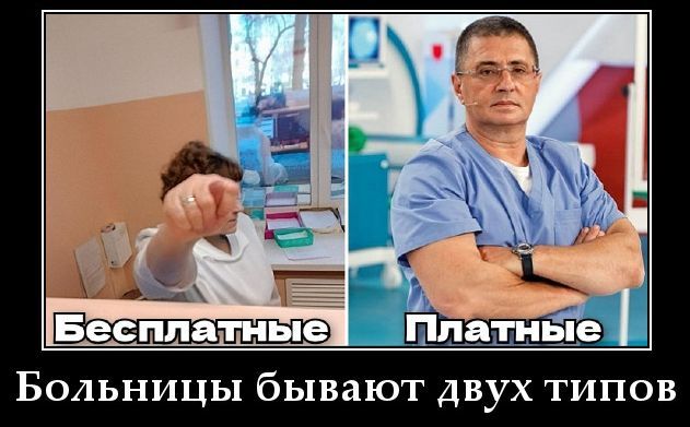 Бесплатные | Платные
Больницы бывают двух типов