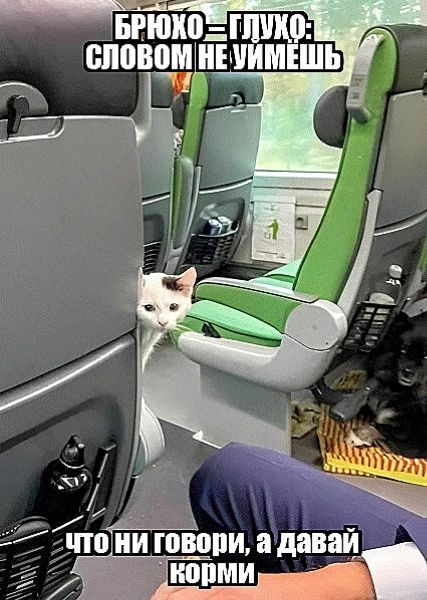БРЮКО — ГЛУХО: СЛОВОМ НЕ УМЕЙШЬ 
Что ни говори, а давай корми