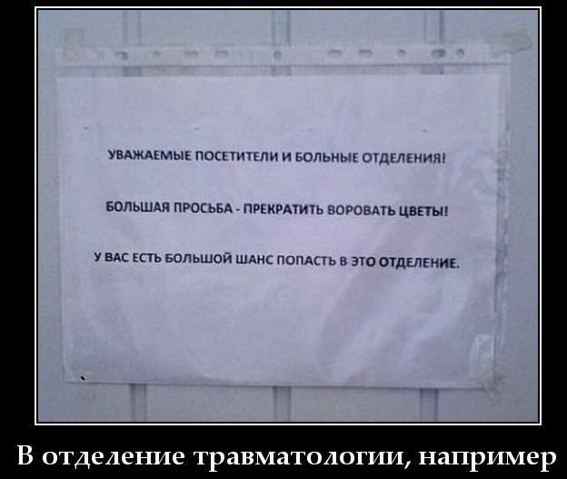 Уважаемые посетители и больные отделения. Большая просьба — прекратите воровать цветы! У вас есть большой шанс попасть в это отделение. В отделение травматологии, например.