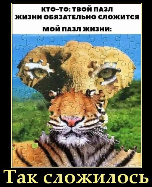 КТО-ТО: ТВОЙ ПАЗЛ ЖИЗНИ ОБЯЗАТЕЛЬНО СЛОЖИТСЯ МОЙ ПАЗЛ ЖИЗНИ: Так сложилось