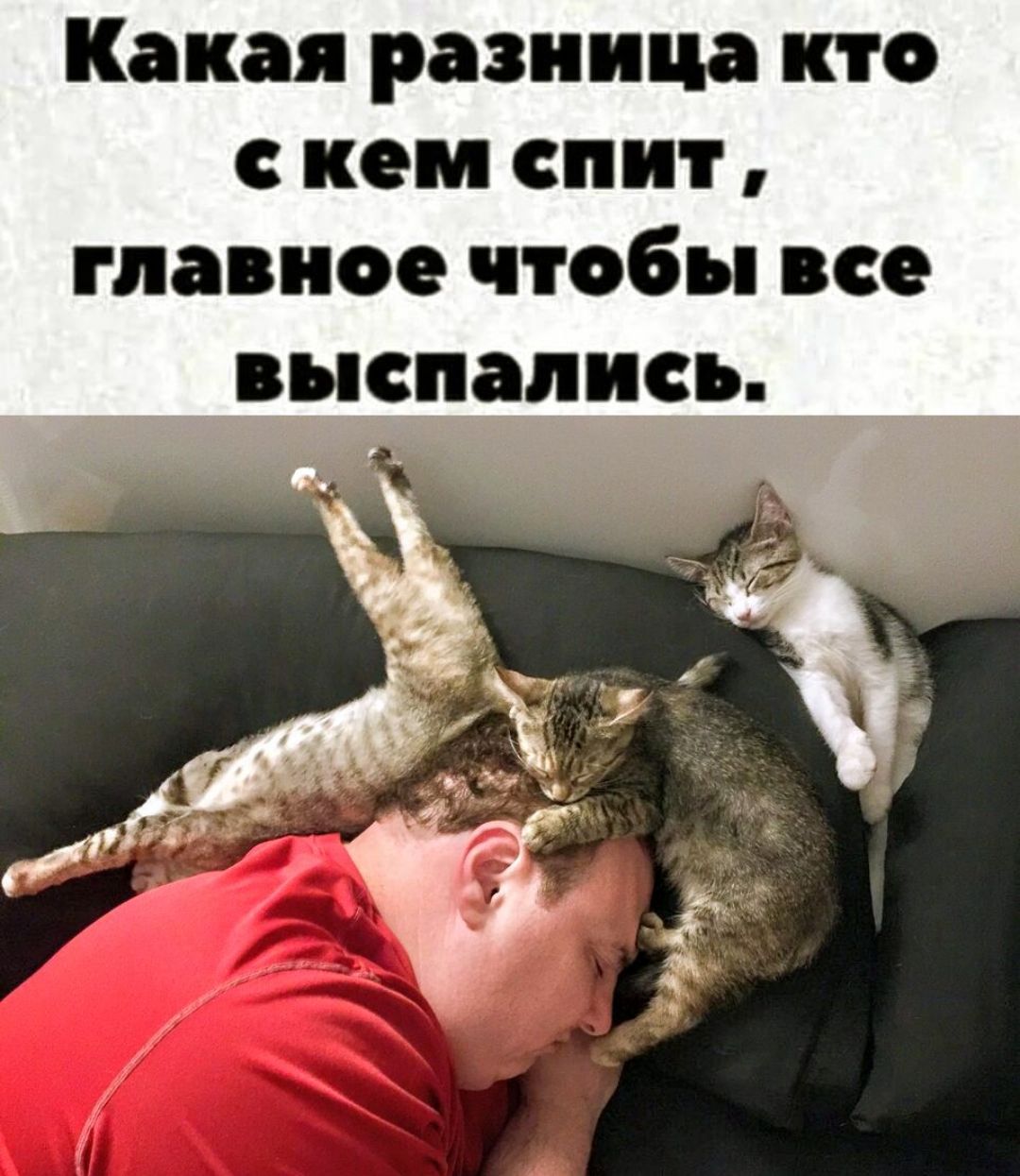 Какая разница кто с кем спит, главное чтобы все выспались.