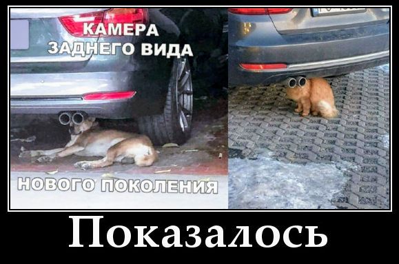 КАМЕРА ЗАДНЕГО ВИДА НОВОГО ПОКОЛЕНИЯ Показалось