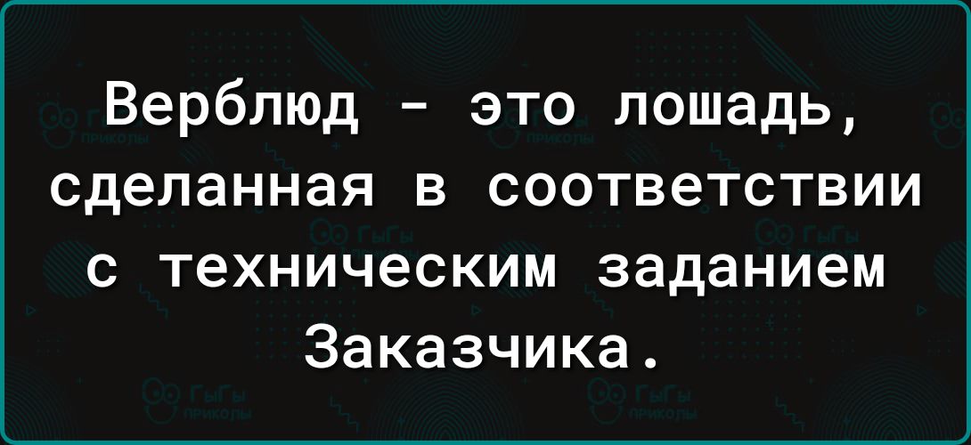 Верблюд это лошадь сделанная в соответствии с техническим заданием Заказчика