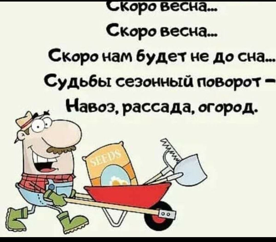 аро Скоро весна Скаро нам будет не до сна Судьбы сезонный повара т Навоз рассада огврсд