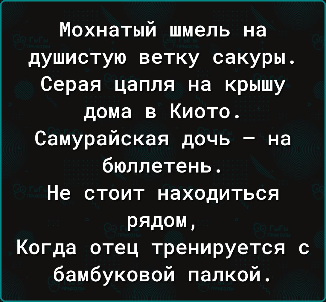 Мохнатый шмель на душистую ветку сакуры Серая цапля на крышу дома в Киото Самурайская дочь на бюллетень Не стоит находиться рядом Когда отец тренируется с бамбуковой палкой