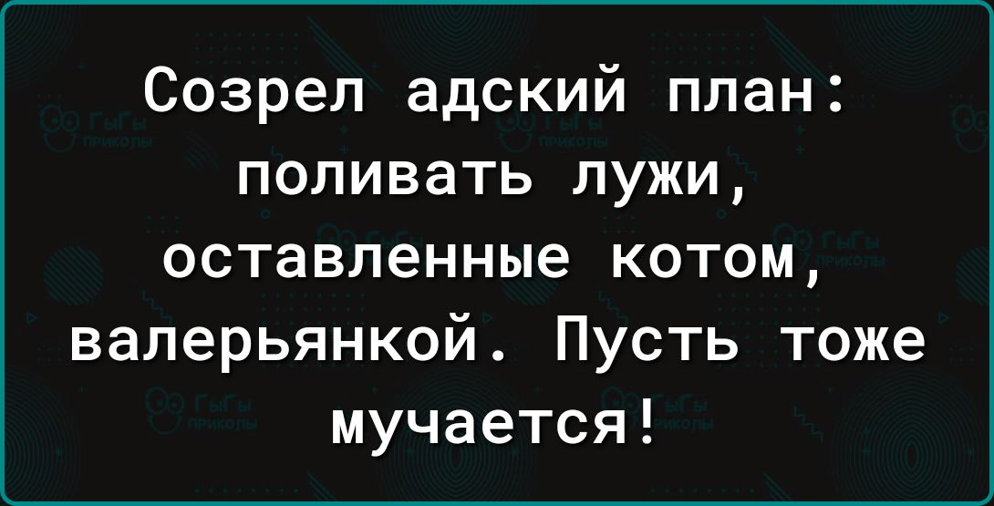 Созрел адский план поливать лужи оставленные котом валерьянкой Пусть тоже мучается