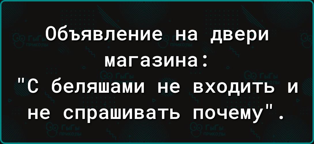 Объявление на двери магазина С беляшами не входить и не спрашивать почему