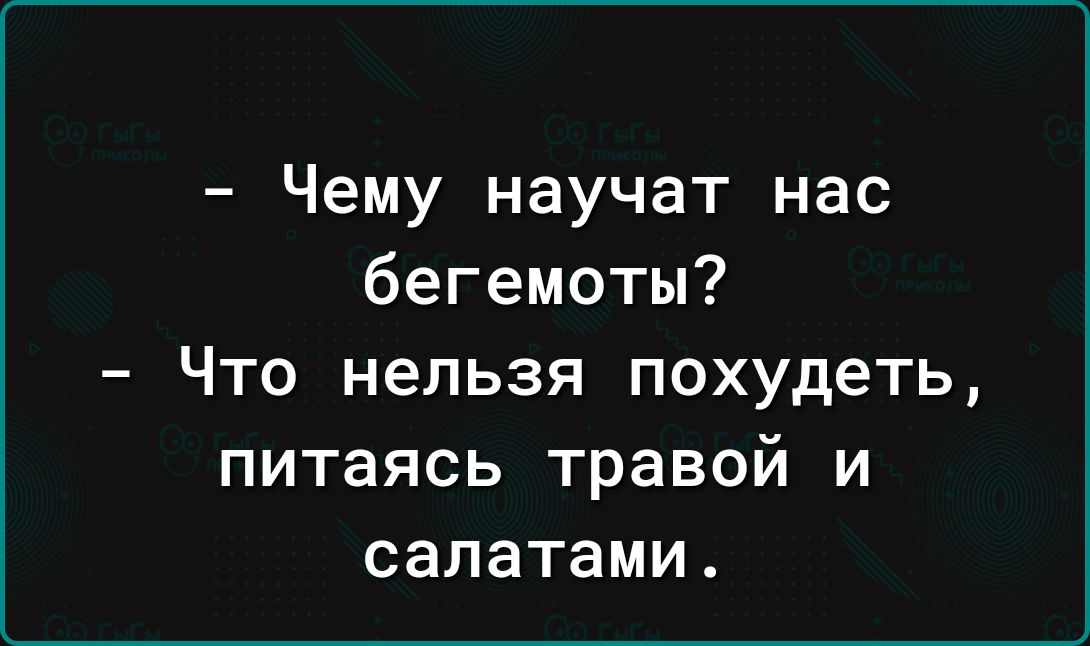 Чему научат нас бегемоты Что нельзя похудеть питаясь травой и салатами