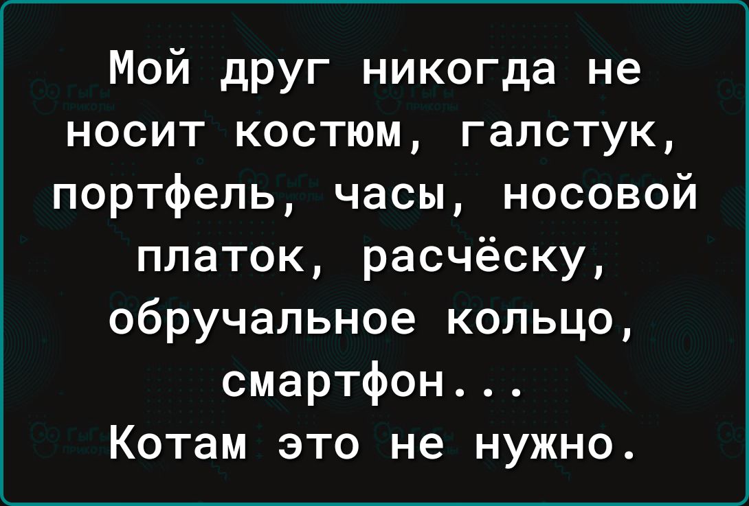 Мой друг никогда не носит костюм галстук портфель часы носовой платок расчёску обручальное кольцо смартфон Котам это не нужно