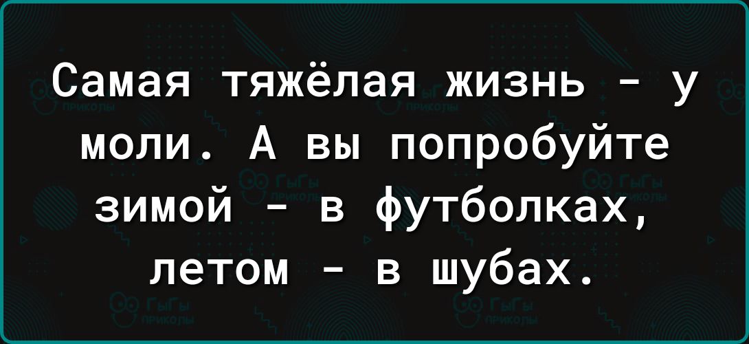 Самая тяжёлая жизнь у моли А вы попробуйте зимой в футболках летом в шубах