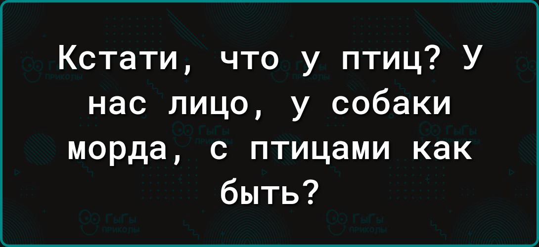Кстати что у птиц У нас лицо у собаки морда с птицами как быть
