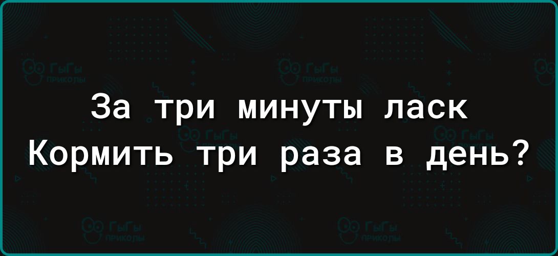 За три минуты ласк Кормить три раза в день