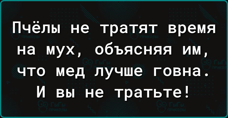 Пчёлы не тратят время на мух объясняя им что мед лучше говна И вы не тратьте