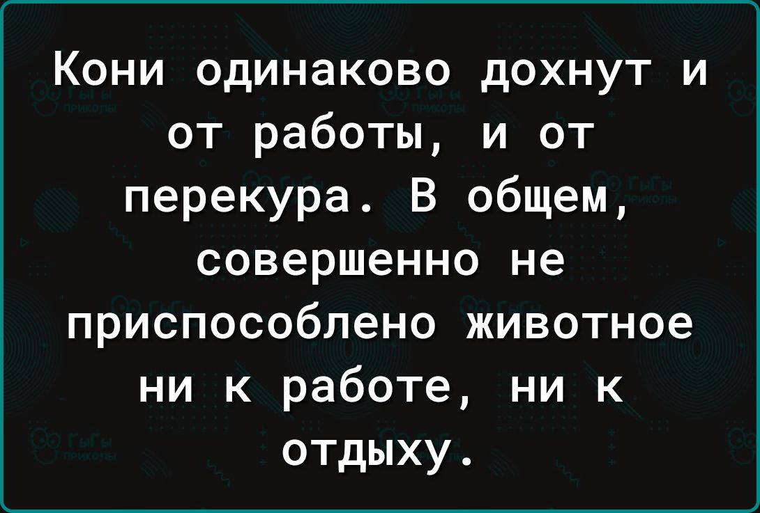 Кони одинаково дохнут и от работы и от перекура В общем совершенно не приспособлено животное ни к работе ни к отдыху