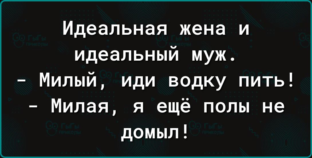 Идеальная жена и идеальный муж Милый иди водку пить Милая я ещё полы не домыл