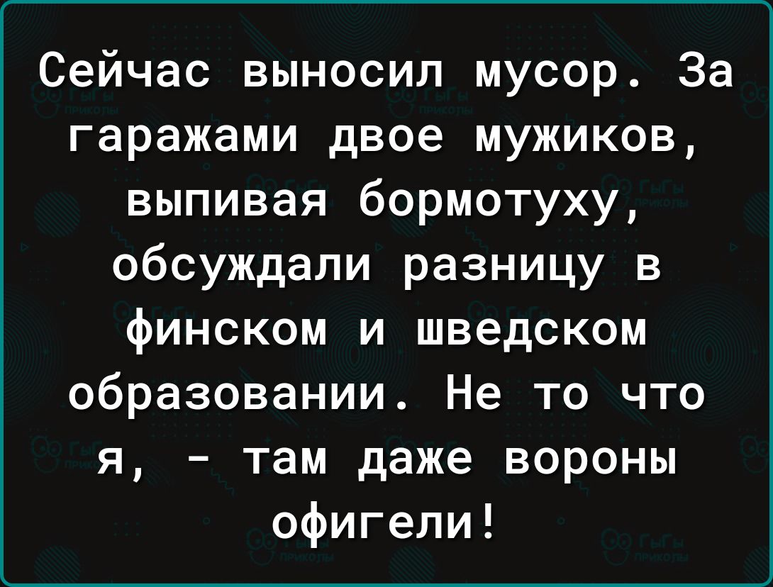 Сейчас выносил мусор За гаражами двое мужиков выпивая бормотуху обсуждали разницу в финском и шведском образовании Не то что я там даже вороны офигели