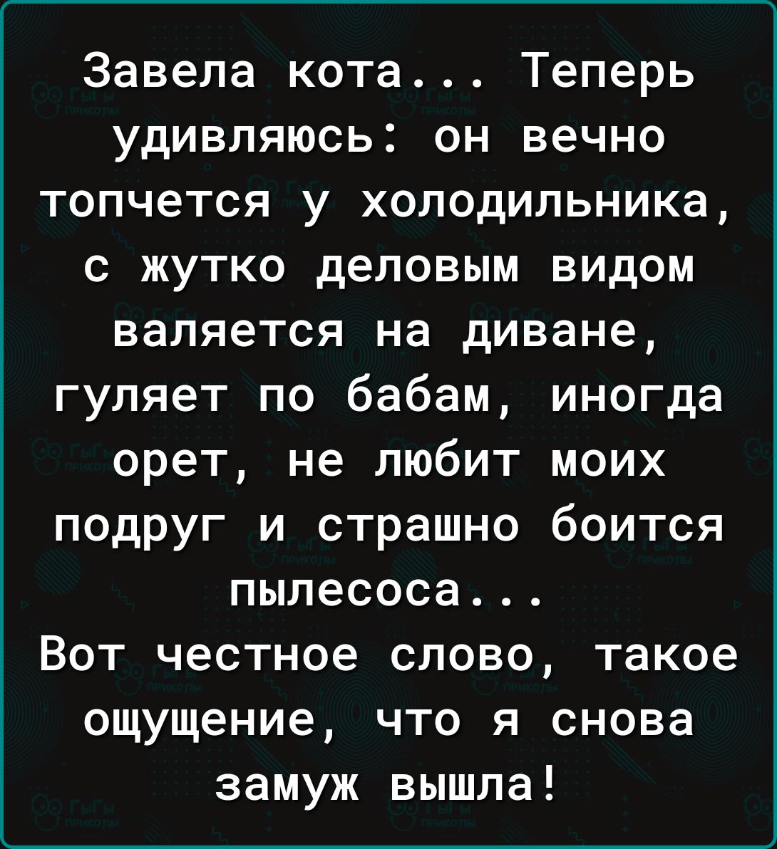 Завела кота Теперь удивляюсь он вечно топчется у холодильника с жутко деловым видом валяется на диване гуляет по бабам иногда орет не любит моих подруг и страшно боится пылесоса Вот честное слово такое ощущение что я снова замуж вышла