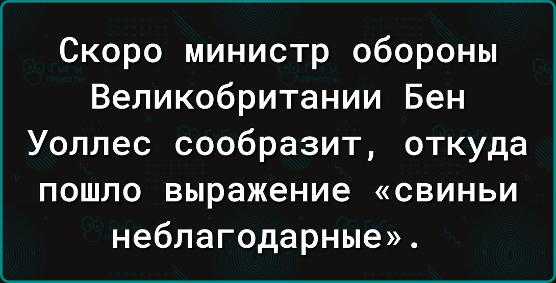 Скоро министр обороны Великобритании Бен Уоллес сообразит откуда пошло выражение свиньи неблагодарные