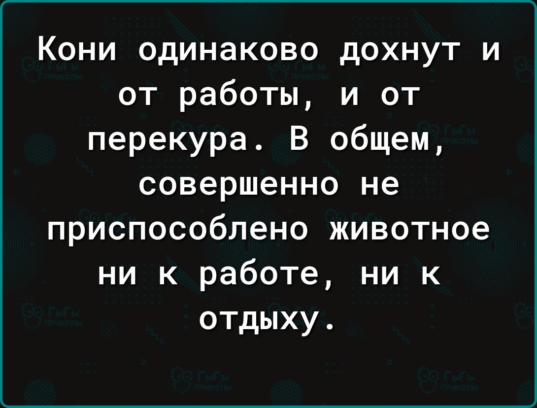 Кони одинаково дохнут и от работы и от перекура В общем совершенно не приспособлено животное ни к работе ни к отдыху