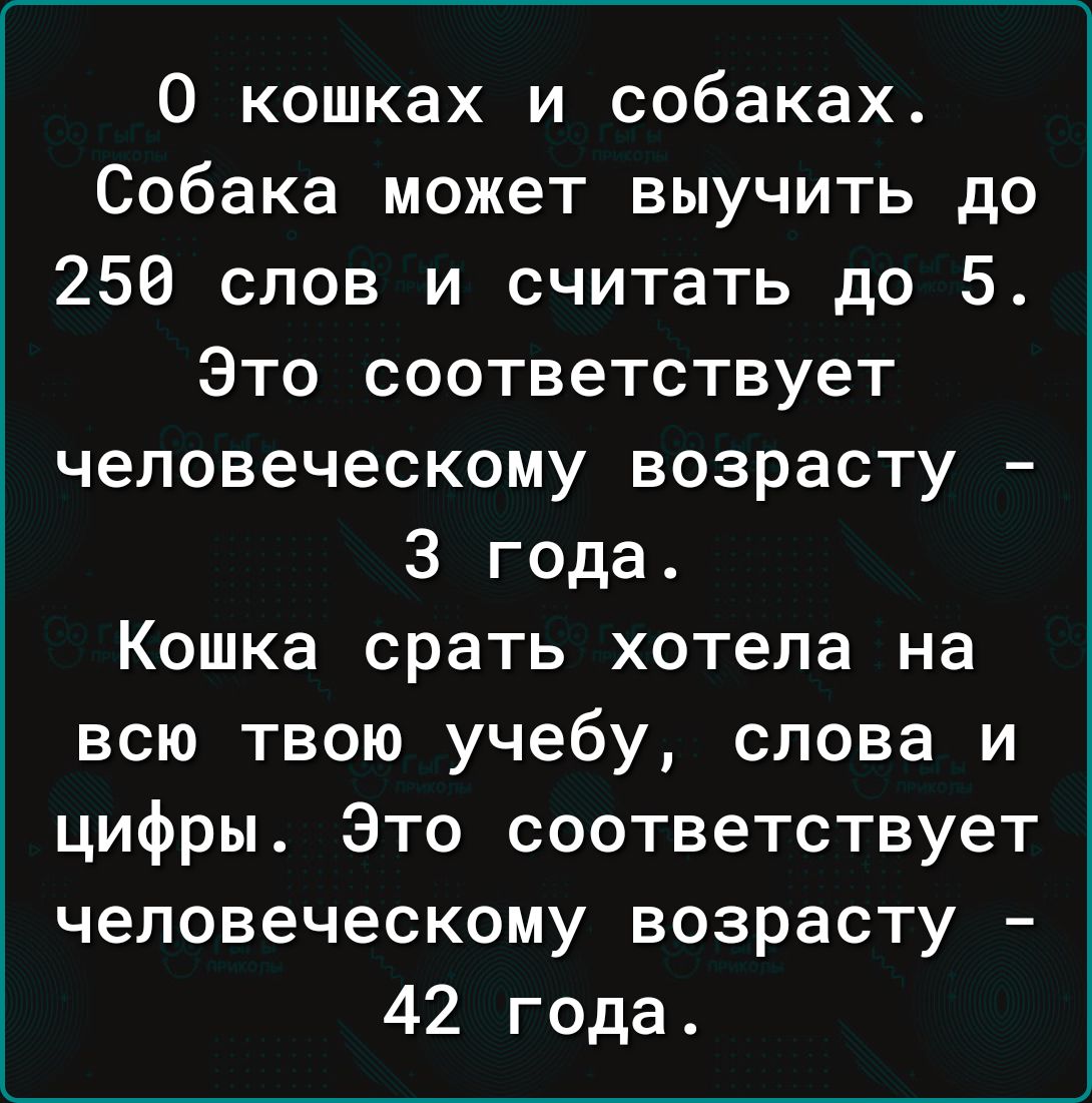 0 кошках и собаках Собака может выучить до 250 слов и считать до 5 Это соответствует человеческому возрасту 3 года Кошка срать хотела на всю твою учебу слова и цифры Это соответствует человеческому возрасту 42 года