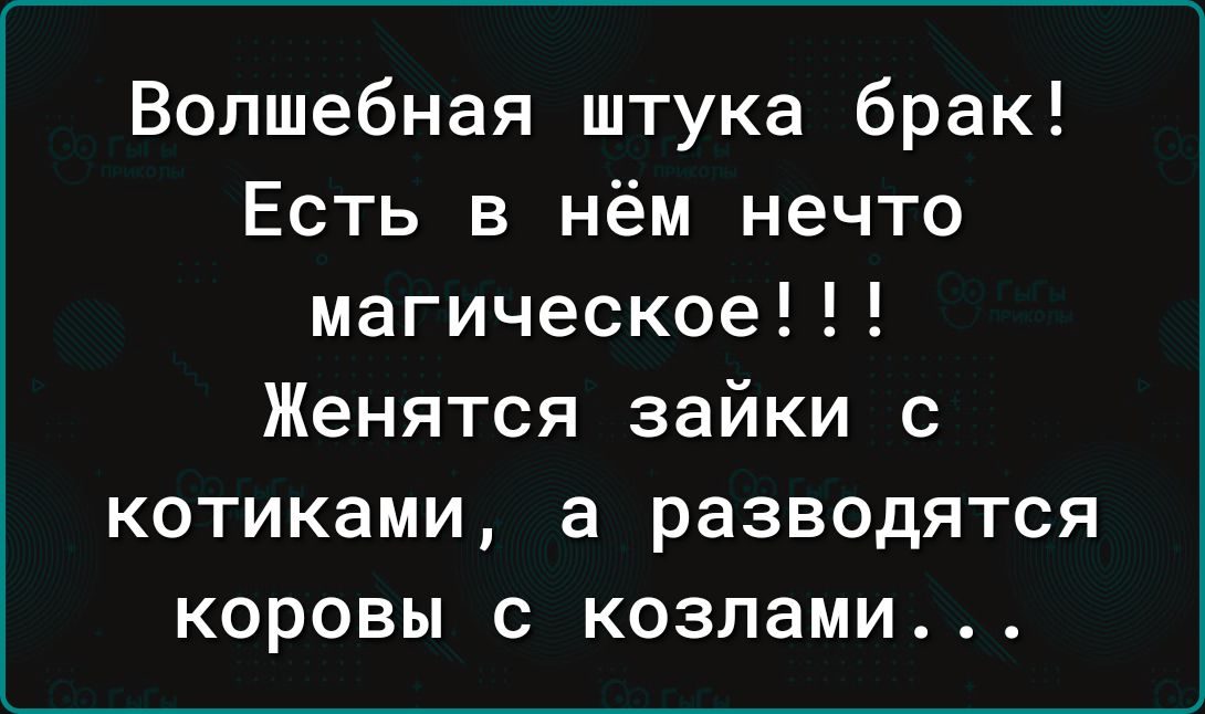 Волшебная штука брак Есть в нём нечто магическое Женятся зайки с котиками а разводятся коровы с козлами