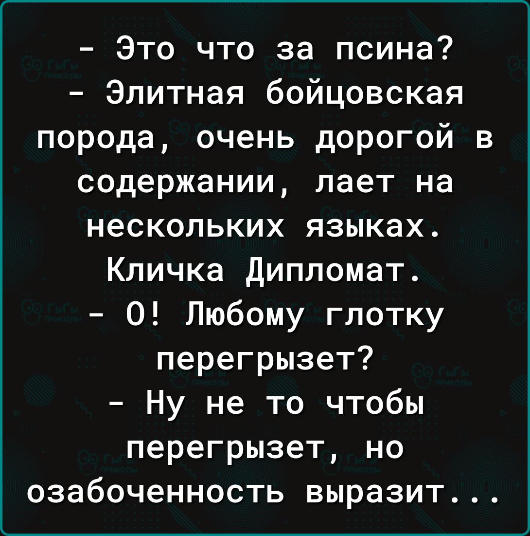 Это что за псина Элитная бойцовская порода очень дорогой в содержании лает на нескольких языках Кличка Дипломат О Любому глотку перегрызет Ну не то чтобы перегрызет но озабоченность выразит