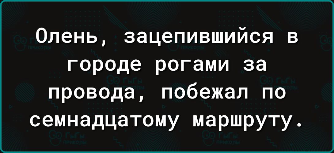 Олень зацепившийся в городе рогами за провода побежал по семнадцатому маршруту