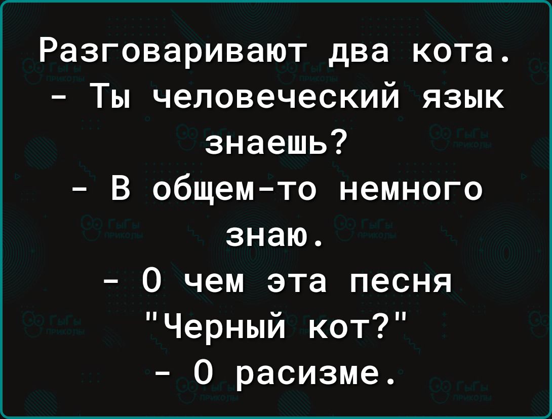 Разговаривают два кота Ты человеческий язык знаешь В общемто немного знаю О чем эта песня Черный кот 0 расизме