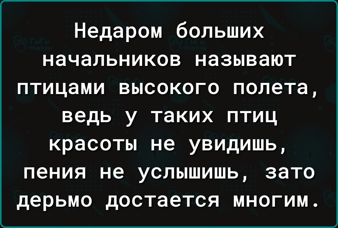 Недаром больших начальников называют птицами высокого полета ведь у таких птиц красоты не увидишь пения не услышишь зато дерьмо достается многим