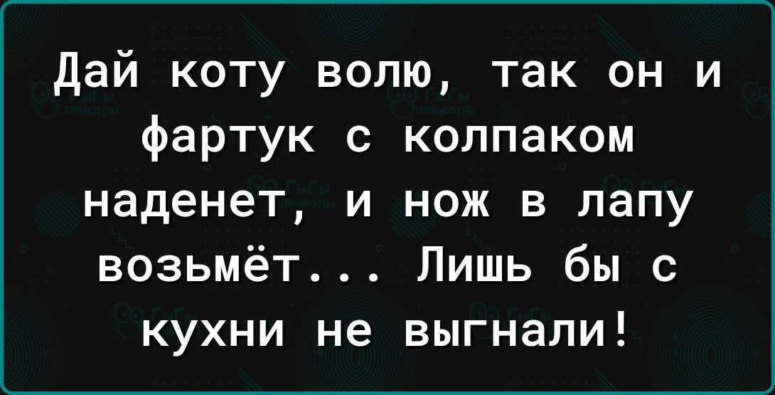 дай коту волю так он и фартук с колпаком наденет и нож в папу возьмёт Лишь бы с кухни не выгнали