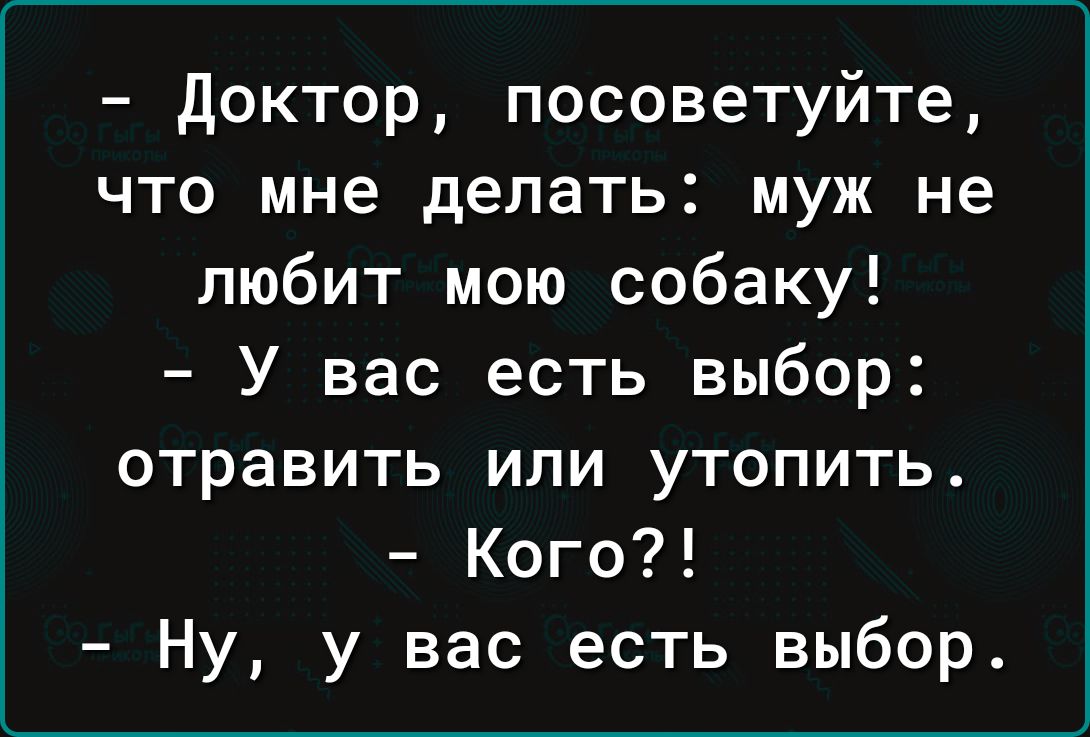 доктор посоветуйте что мне делать муж не любит мою собаку У вас есть выбор отравить или утопить Кого Ну у вас есть выбор