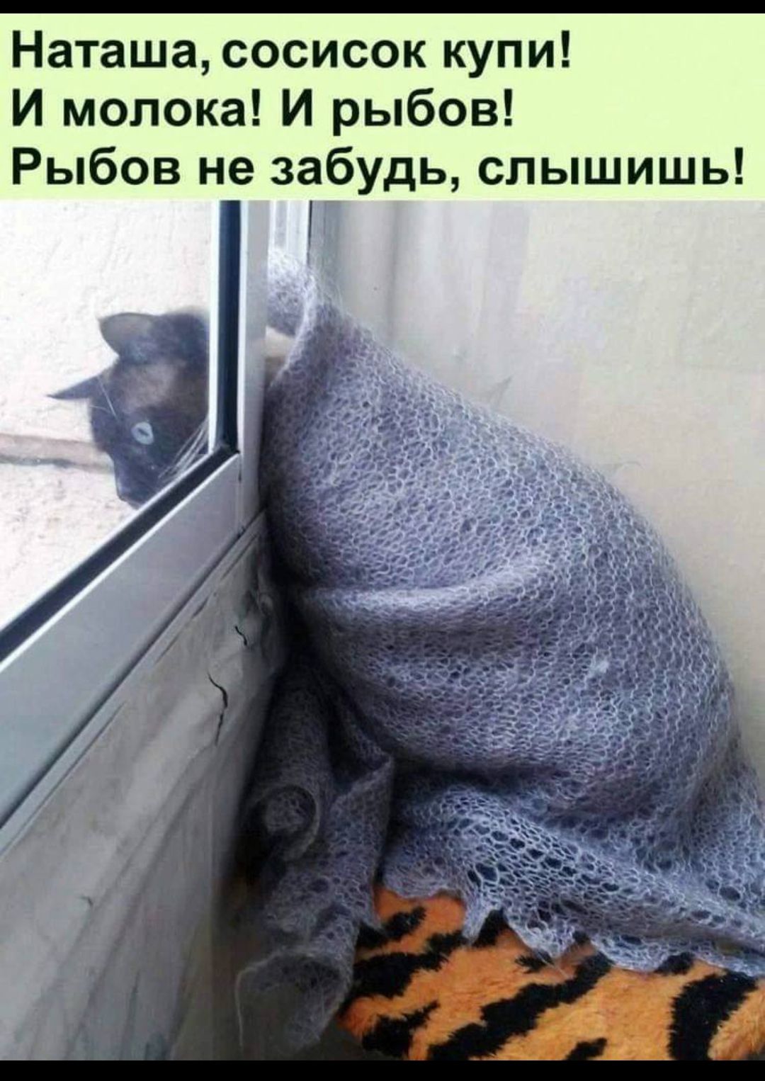 Наташа сосисок купи И молока И рыбов Рыбов не забудь слышишь