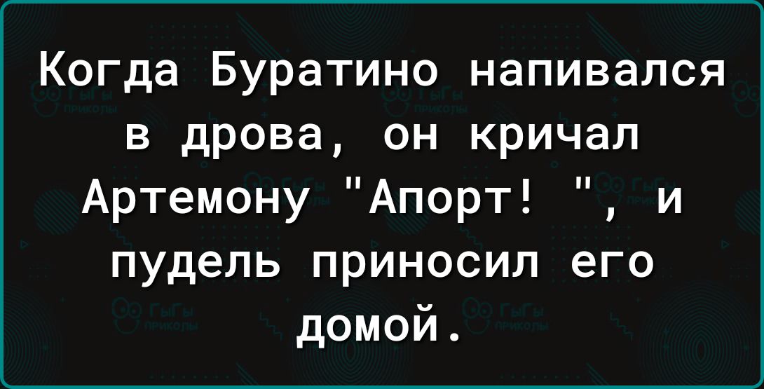 Когда Буратино напивался в дрова он кричал Артемону Апорт и пудель приносил его домой