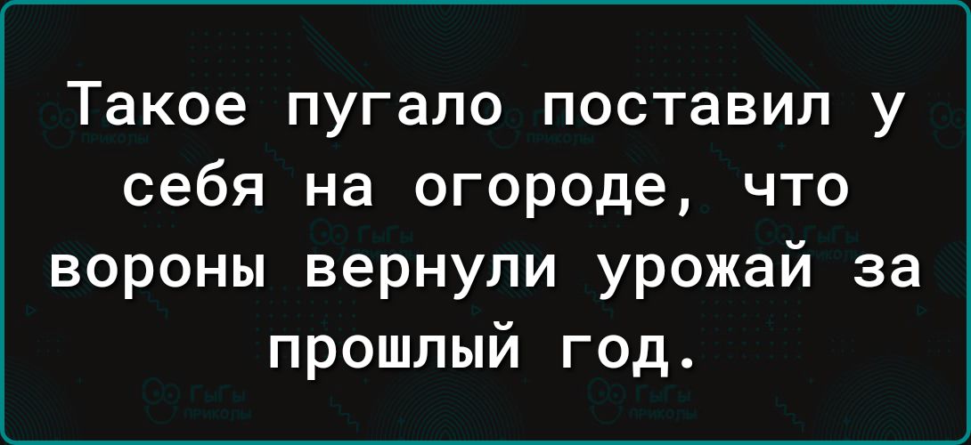 Такое пугало поставил у себя на огороде что вороны вернули урожай за прошлый год