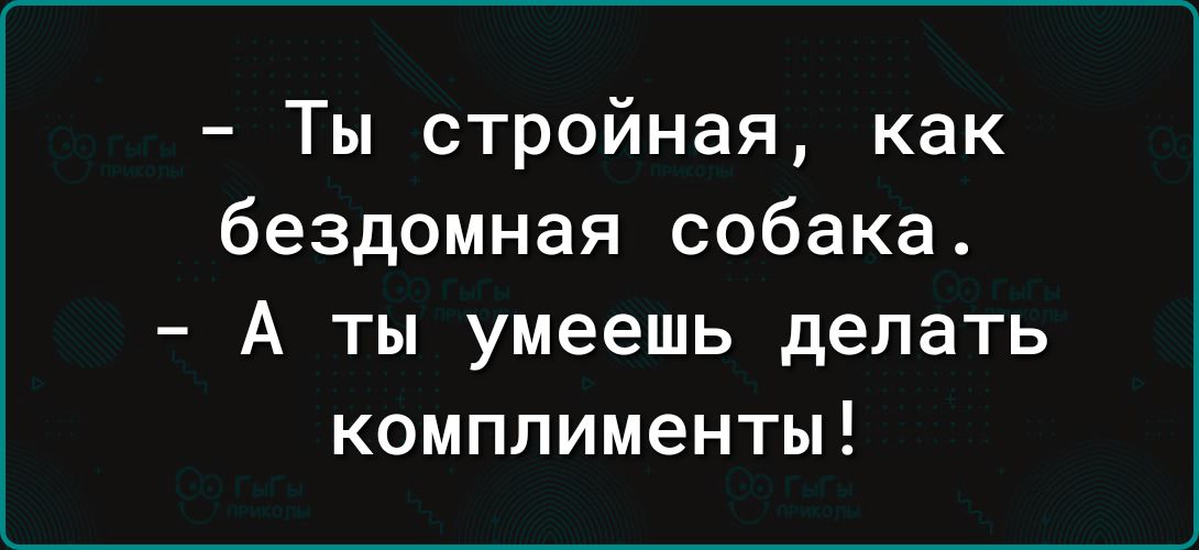 Ты стройная как бездомная собака А ты умеешь делать комплименты