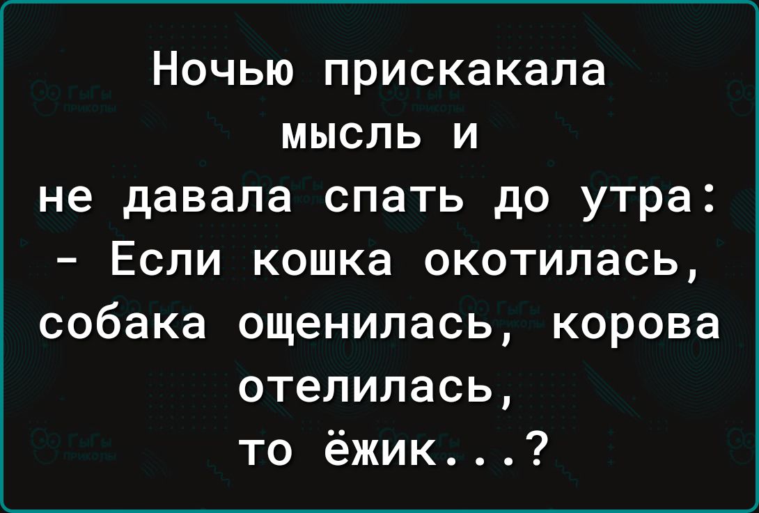 Ночью прискакапа мысль и не давала спать до утра Если кошка окотилась собака ощенилась корова отелилась то ёжик