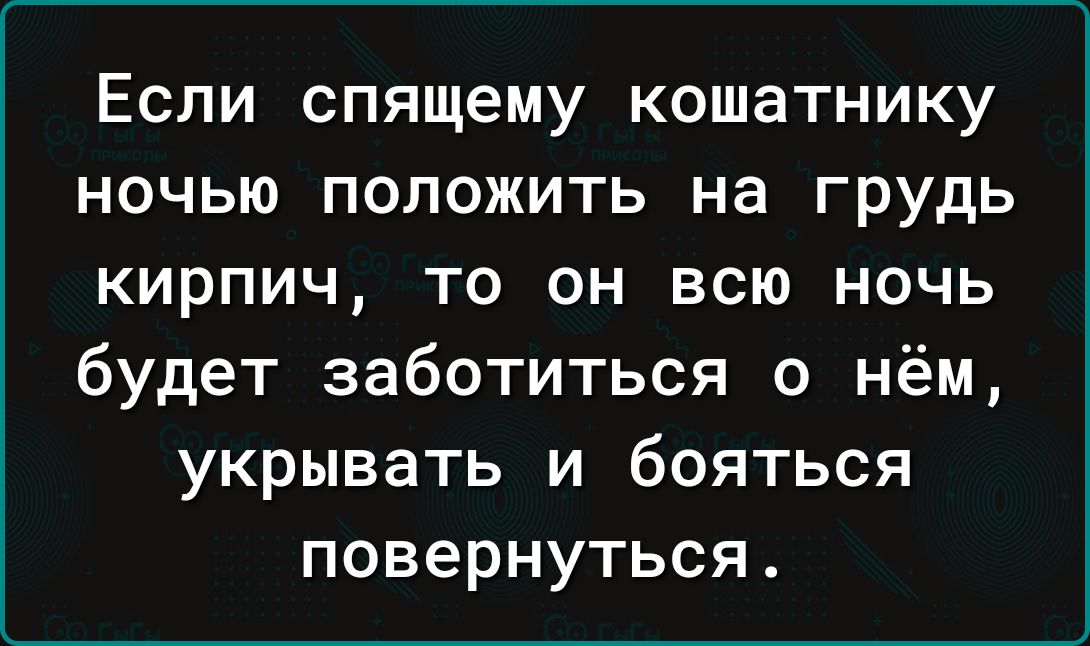 Если спящему кошатнику ночью положить на грудь кирпич то он всю ночь будет заботиться о нём укрывать и бояться повернуться