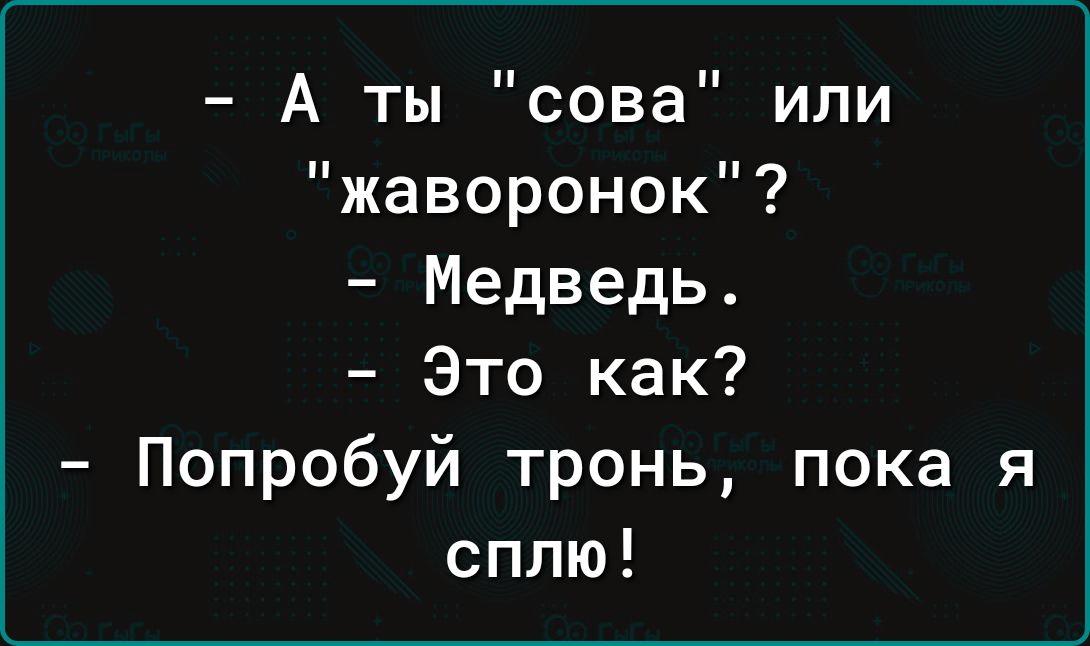 А ты сова или жаворонок Медведь Это как Попробуй тронь пока я сплю