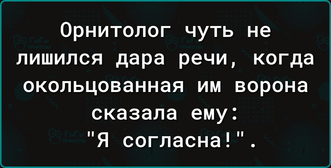 Орнитопог чуть не лишился дара речи когда окопьцованная им ворона сказала ему Я согласна