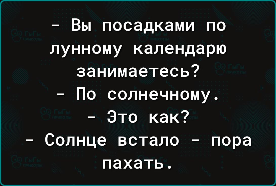 Вы посадками по лунному календарю занимаетесь По солнечному Это как Солнце встало пора пахать