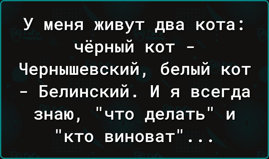 У меня живут два кота чёрный кот Чернышевский белый кот Белинский И я всегда знаю что делать и кто виноват