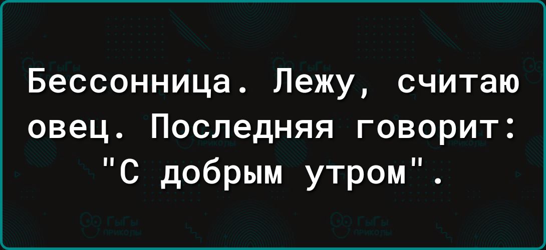 Бессонница Лежу считаю овец Последняя говорит С добрым утром