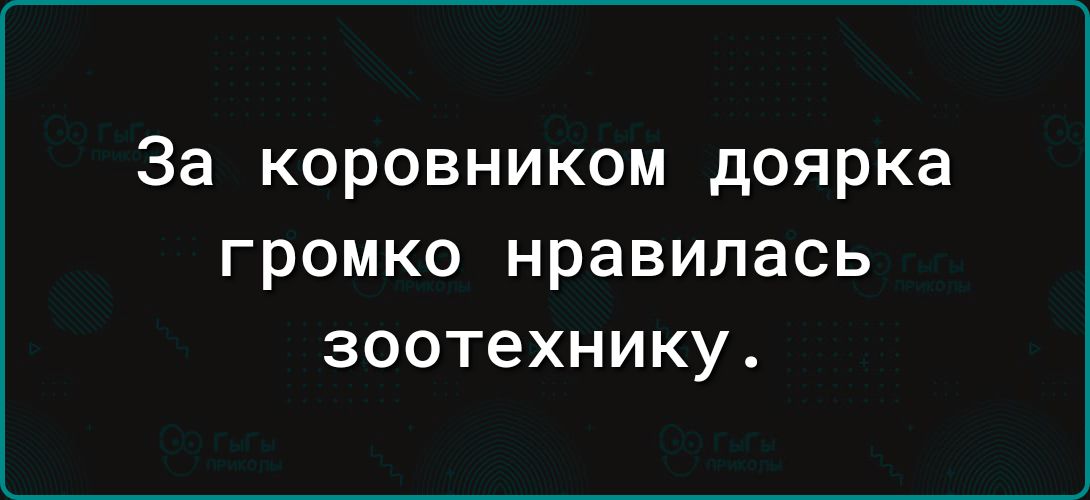 За коровником доярка громко нравилась зоотехнику