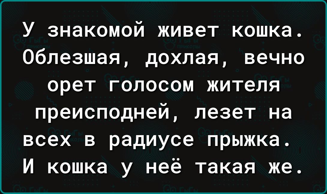 У знакомой живет кошка 06лезшая дохлая вечно орет голосом жителя преисподней лезет на всех в радиусе прыжка И кошка у неё такая же