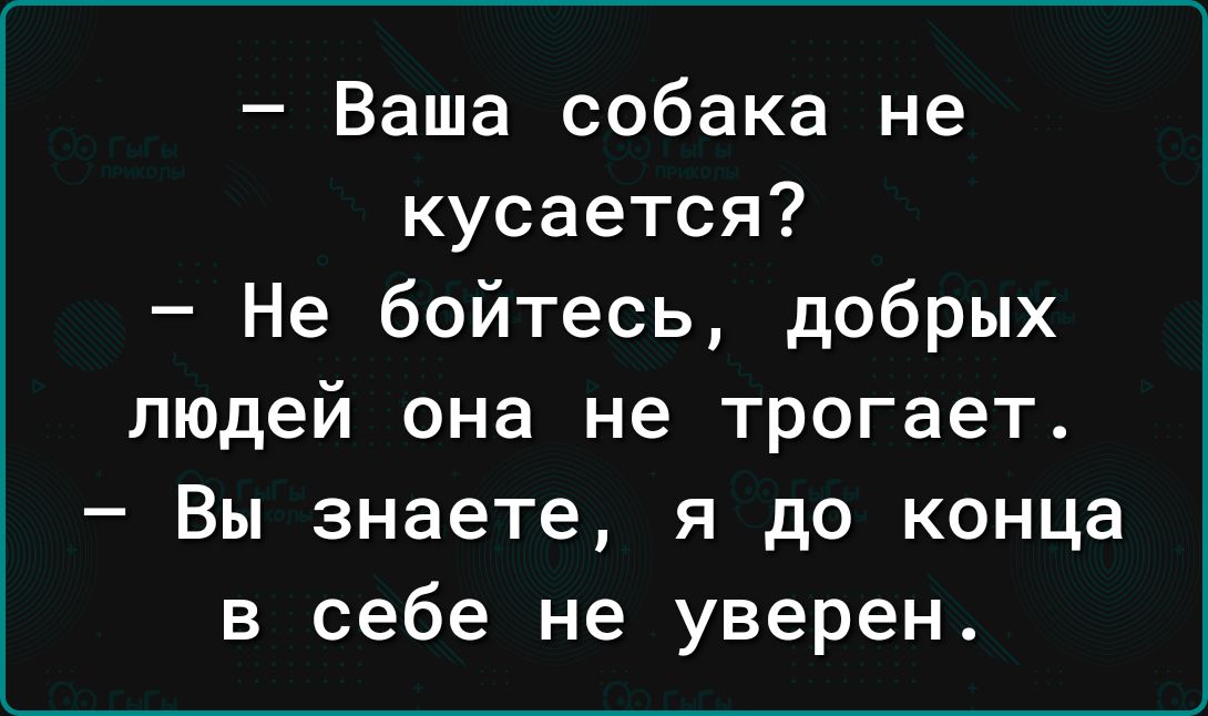 Ваша собака не кусается Не бойтесь добрых людей она не трогает Вы знаете я до конца в себе не уверен