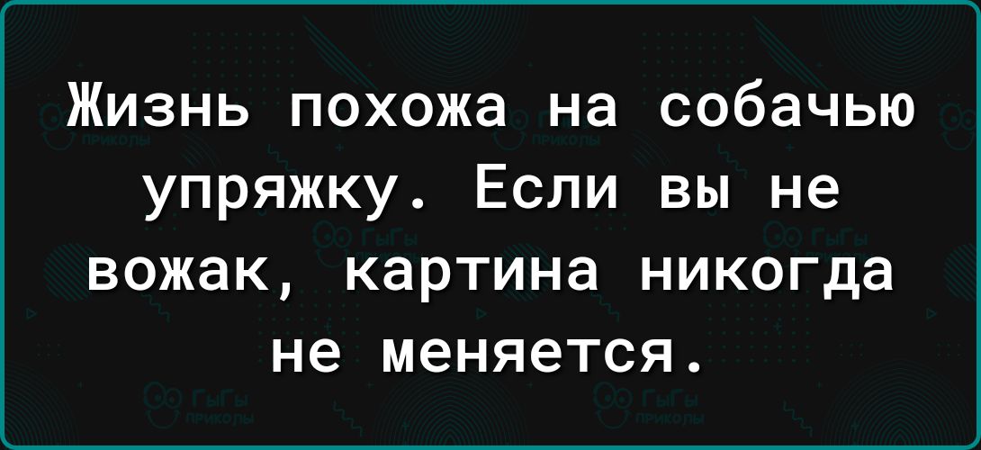 Жизнь похожа на собачью упряжку Если вы не вожак КЗРТИНЗ НИКОГДЗ не меняется