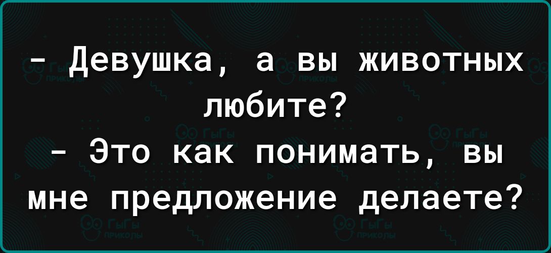 девушка а вы животных любите Это как понимать вы мне предложение делаете